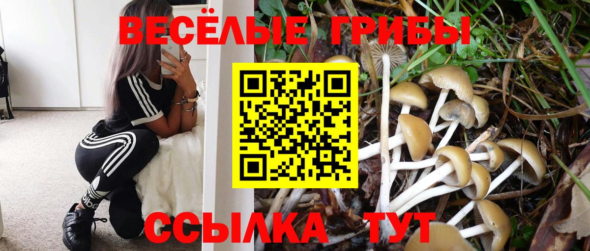 что такое наркотик  Вход с VPN  Ефремов  Галлюциногенные грибы ЛСД  Галлюциногенные грибы Psilocybe 