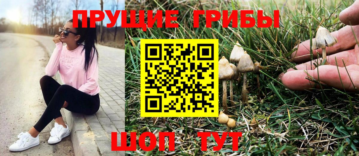 Галлюциногенные грибы Magic Shrooms Ефремов